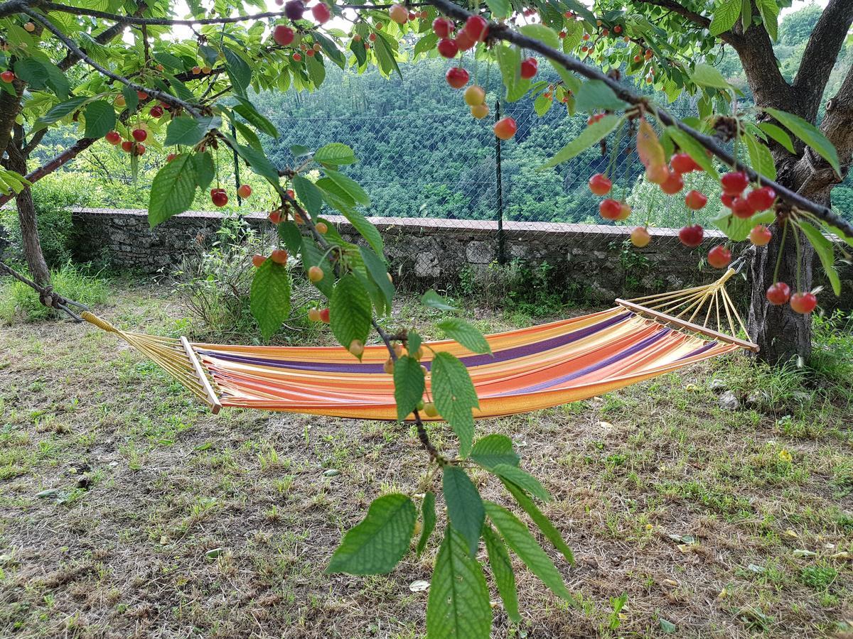 Guest House Il Giardino Colle Val D'Elsa Εξωτερικό φωτογραφία